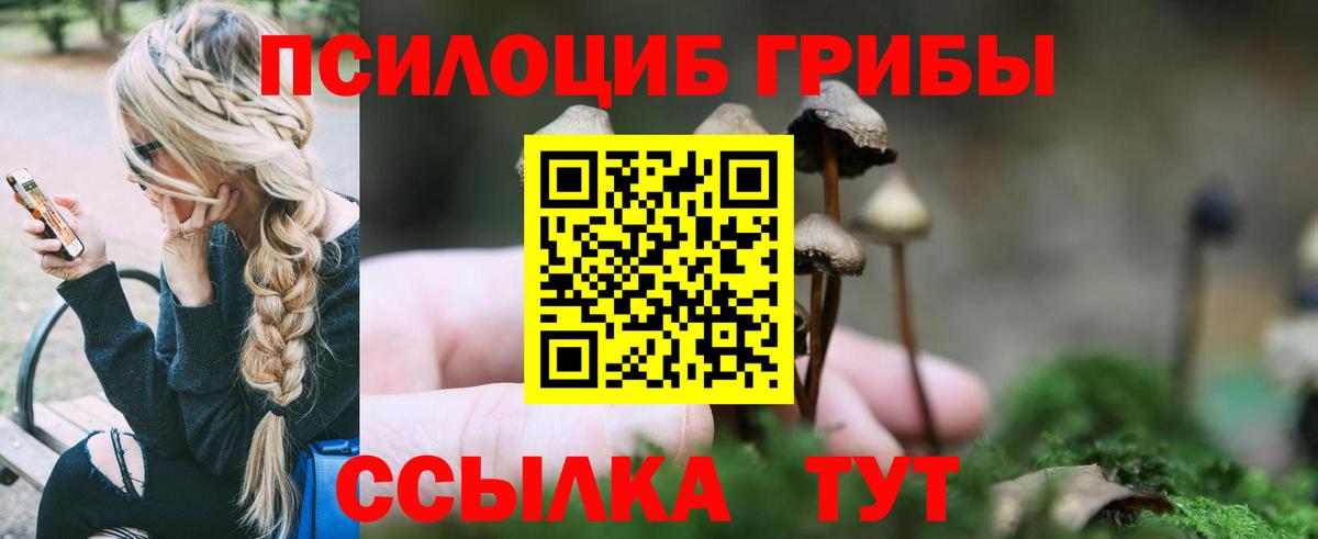 Большой Камень  Галлюциногенные грибы Psilocybine cubensis  Вход с VPN 